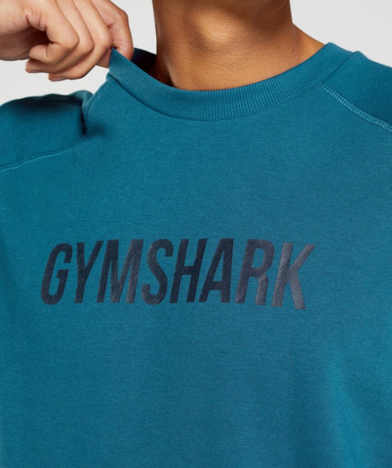 Bluzy Gymshark Apollo Crew Męskie Turkusowe | PL 617DVI